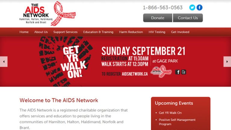 The AIDS Network website design