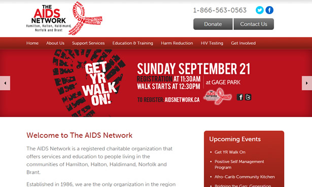 The AIDS Network website design