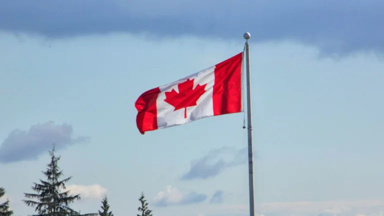 Canadian Flag in front of trees and blue sky