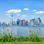 View of Toronto skyline with lake and flowers in the foreground