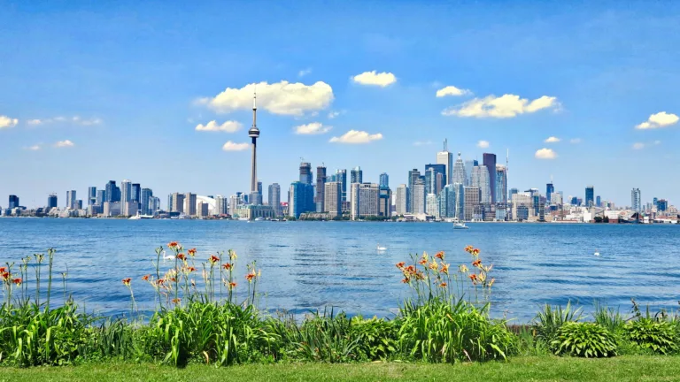 View of Toronto skyline with lake and flowers in the foreground