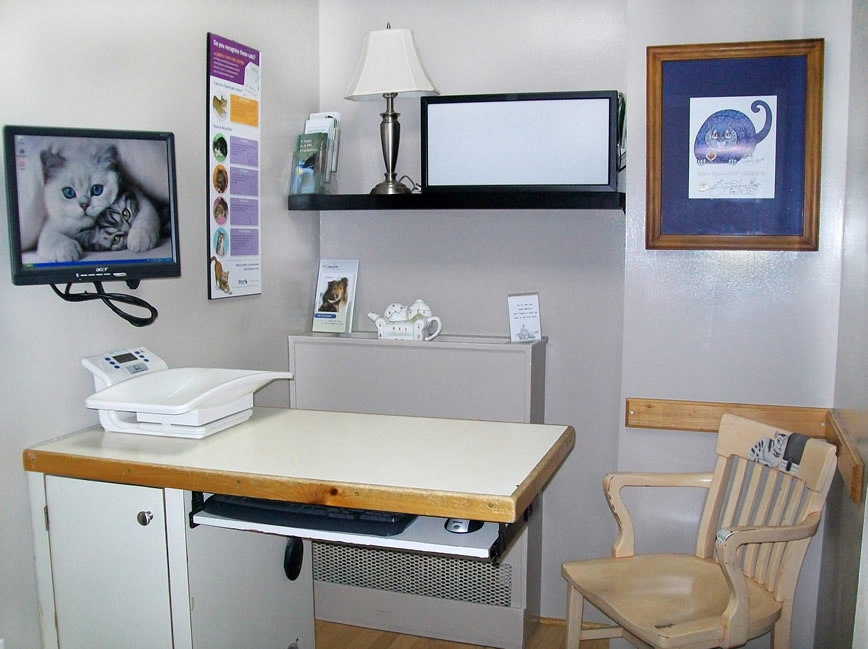 Cat Clinic Exam room