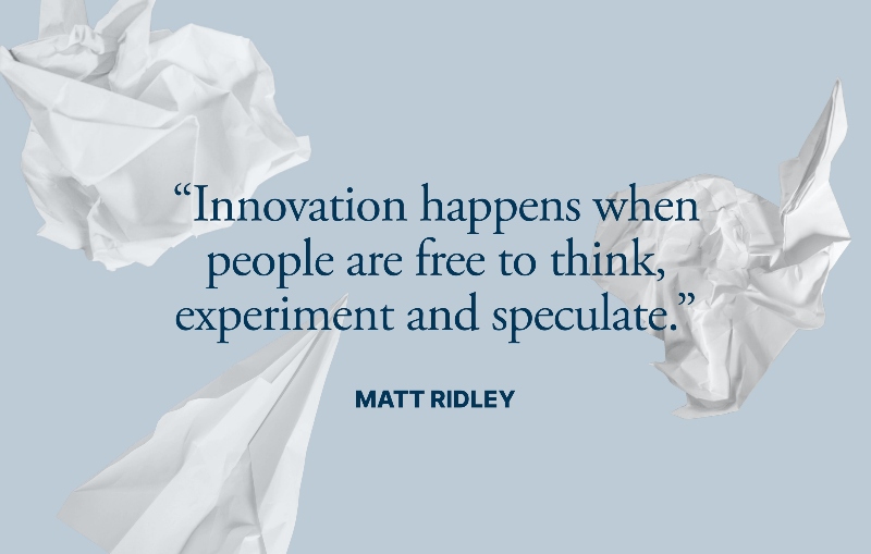 Innovation quote by Matt Ridley