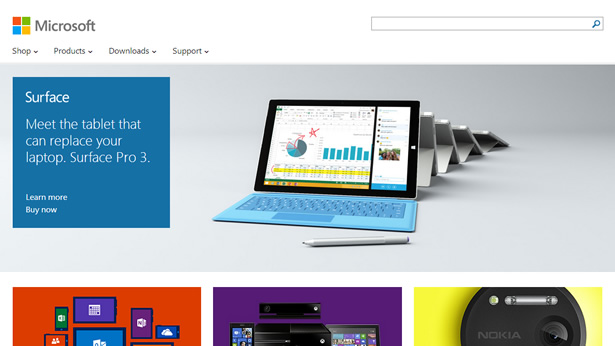 Microsoft Website