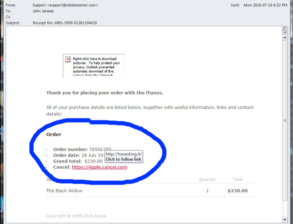 Phishing Email Example