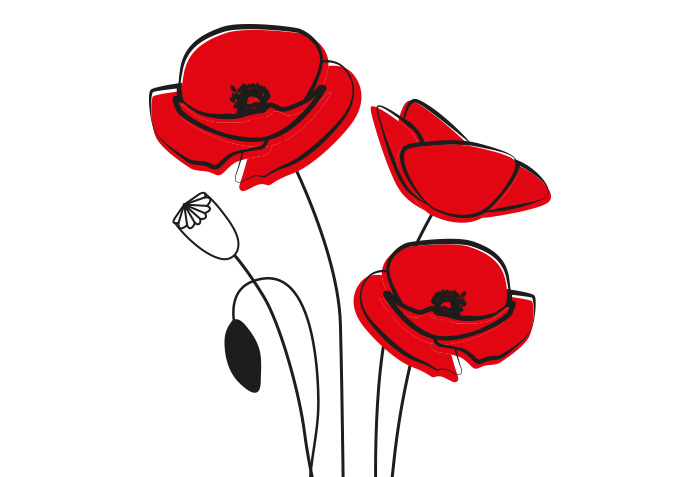 Poppies