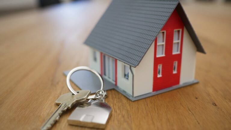 Keys with a model of a house