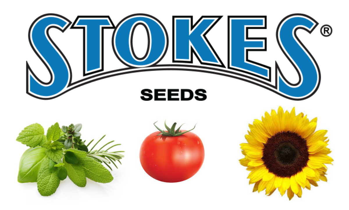 Stokes Seeds