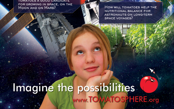 Tomatosphere Poster Design